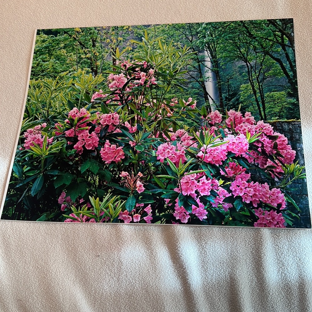 Floral Print - Picture 4 of 7